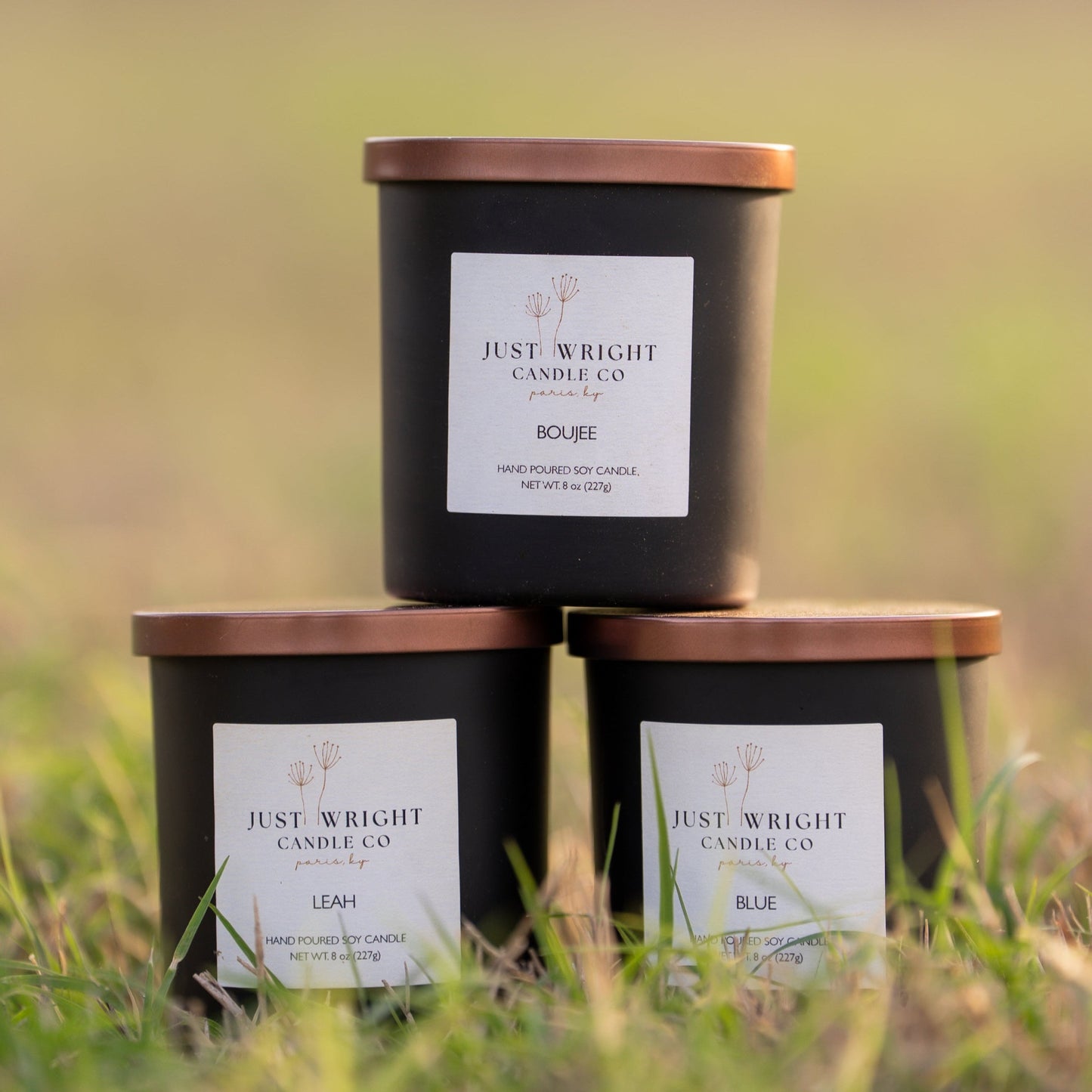 The Blonde & The Bay Collection