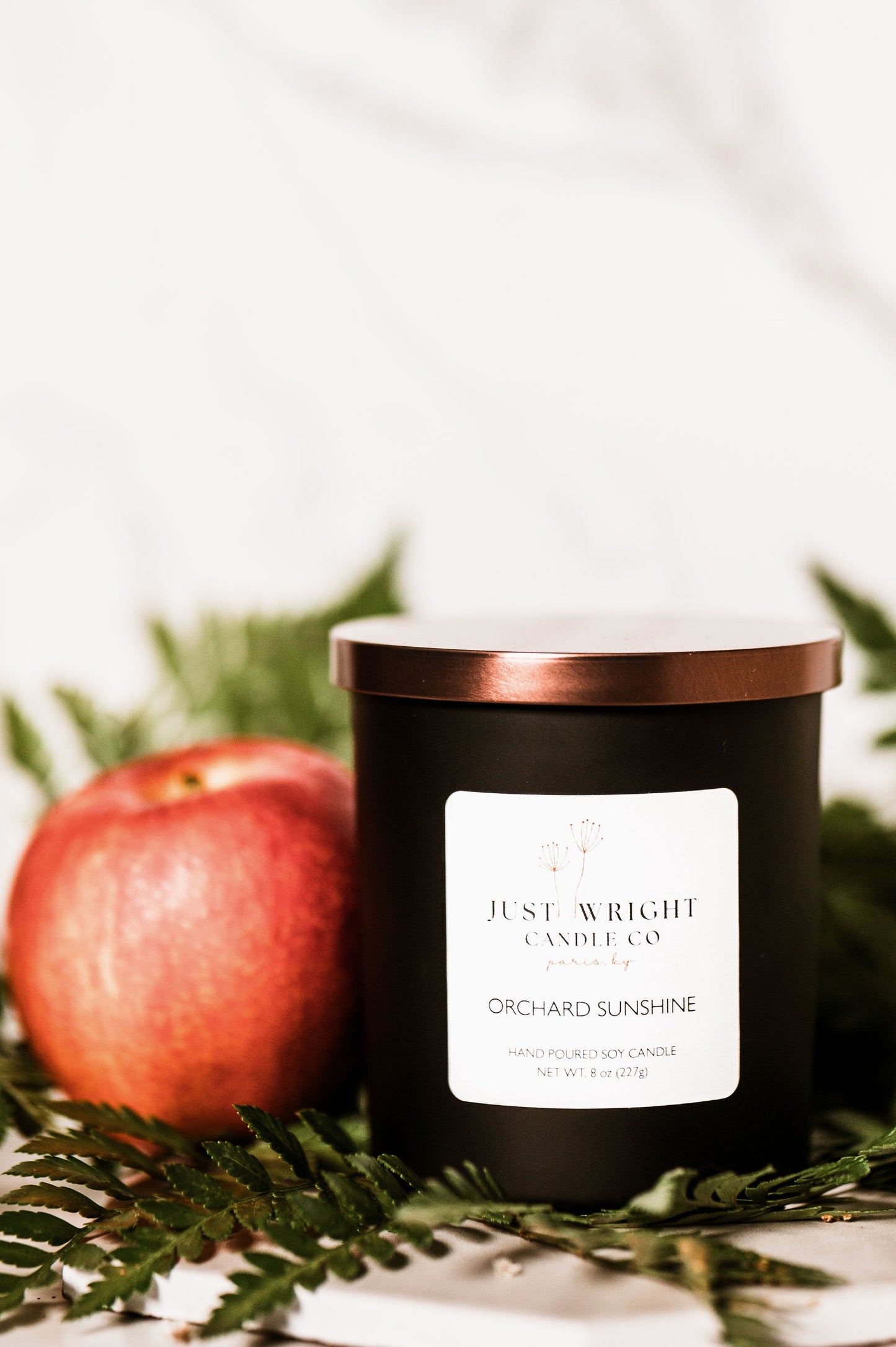 Orchard Sunshine