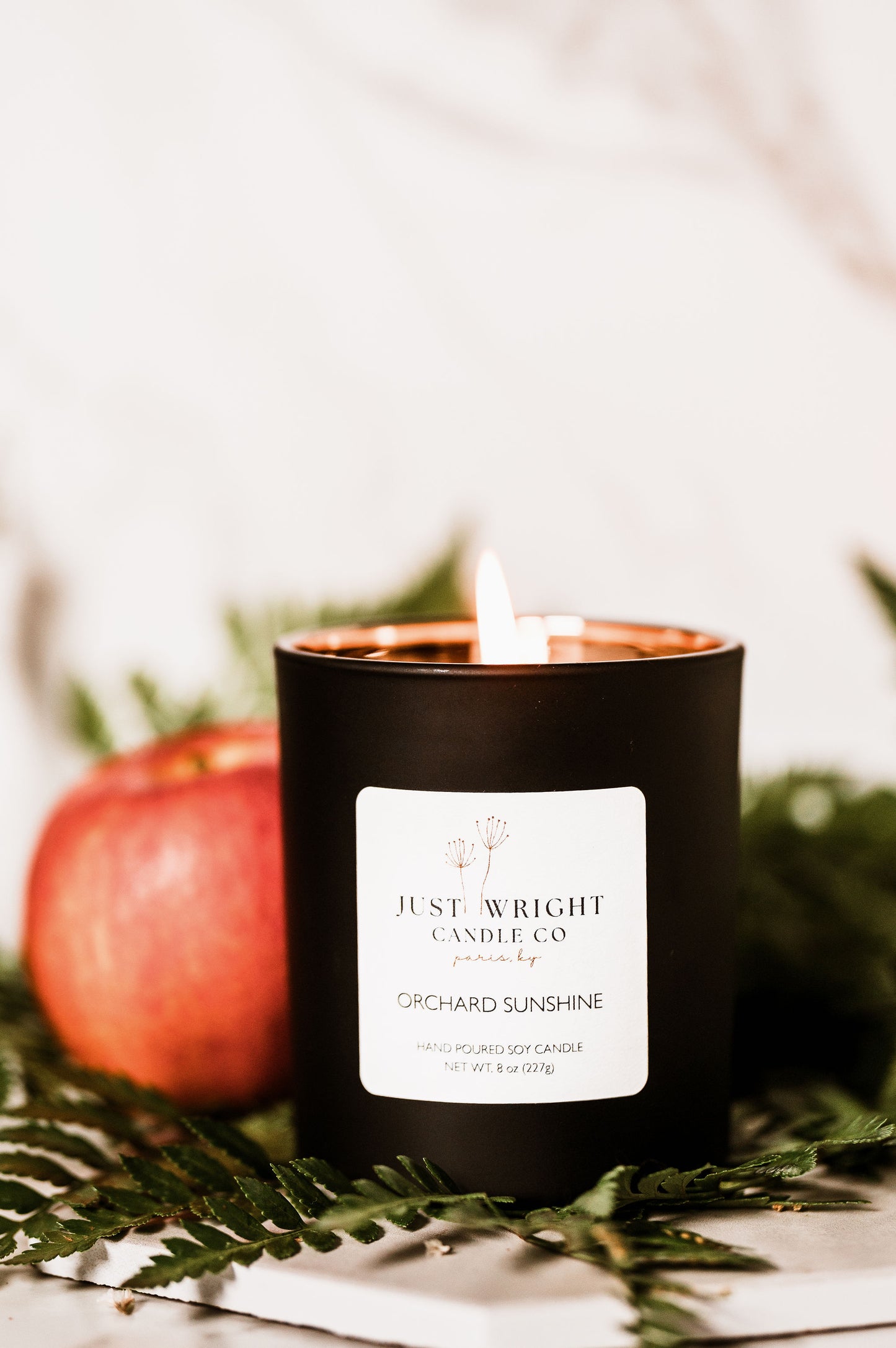 Orchard Sunshine